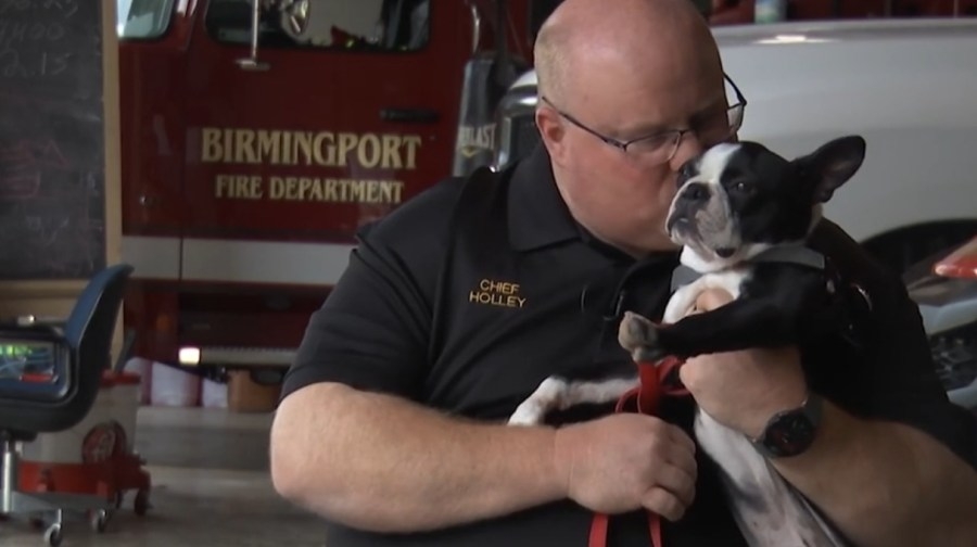 New puppy boosts morale, lowers stress among Birmingport first responders