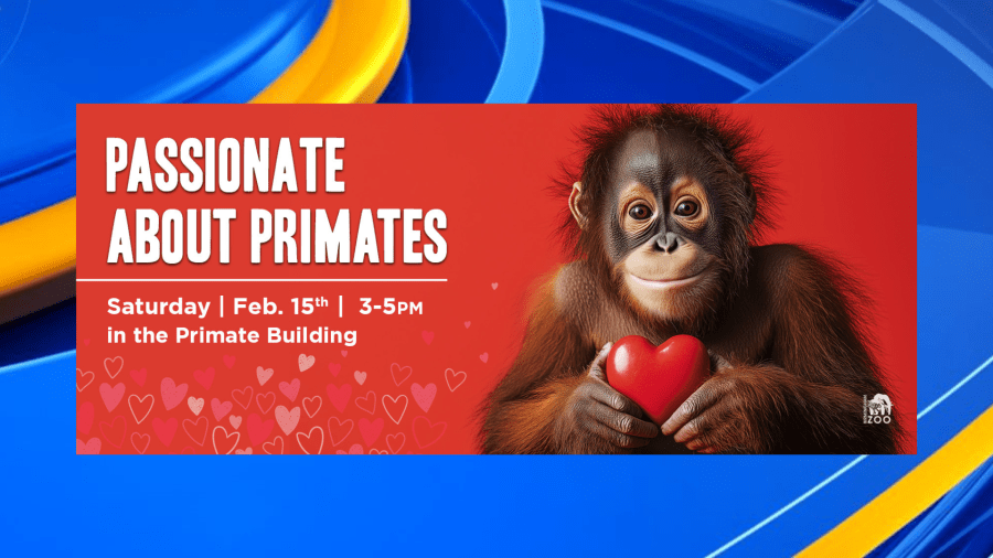 Birmingham Zoo to host Valentine's weekend event