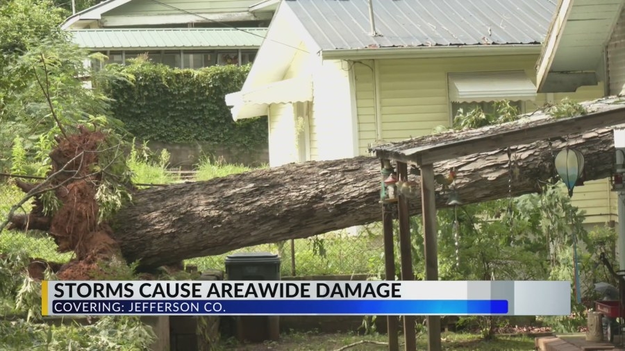 Storms cause significant damage in Mulga
