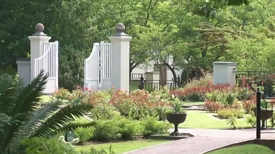 Birmingham Botanical Gardens hosting 2025 Fern Expo