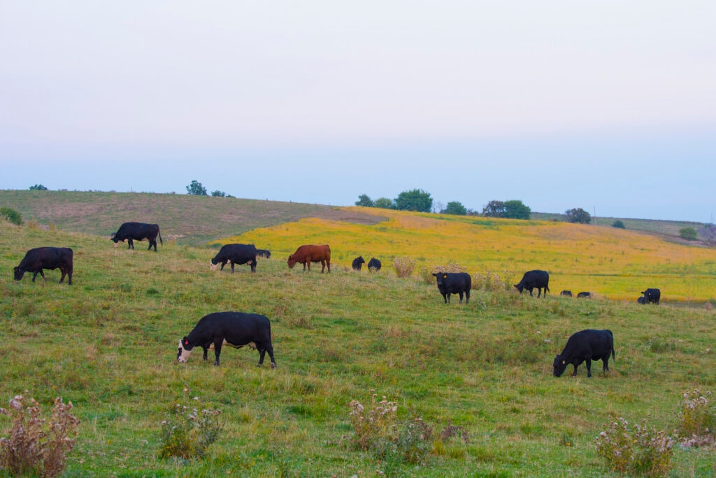 Trump's USDA cuts programs aimed at helping farmers improve soil, water quality