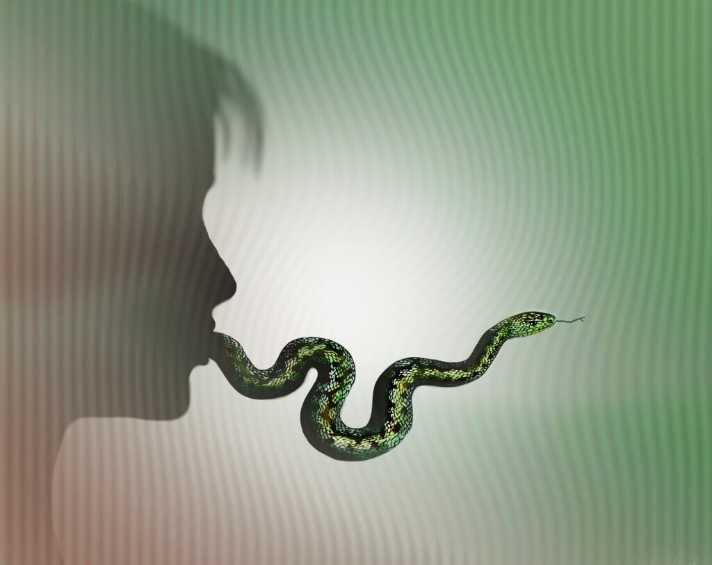 A Democratic legislator was assassinated; right-wing influencers coughed out disinformation