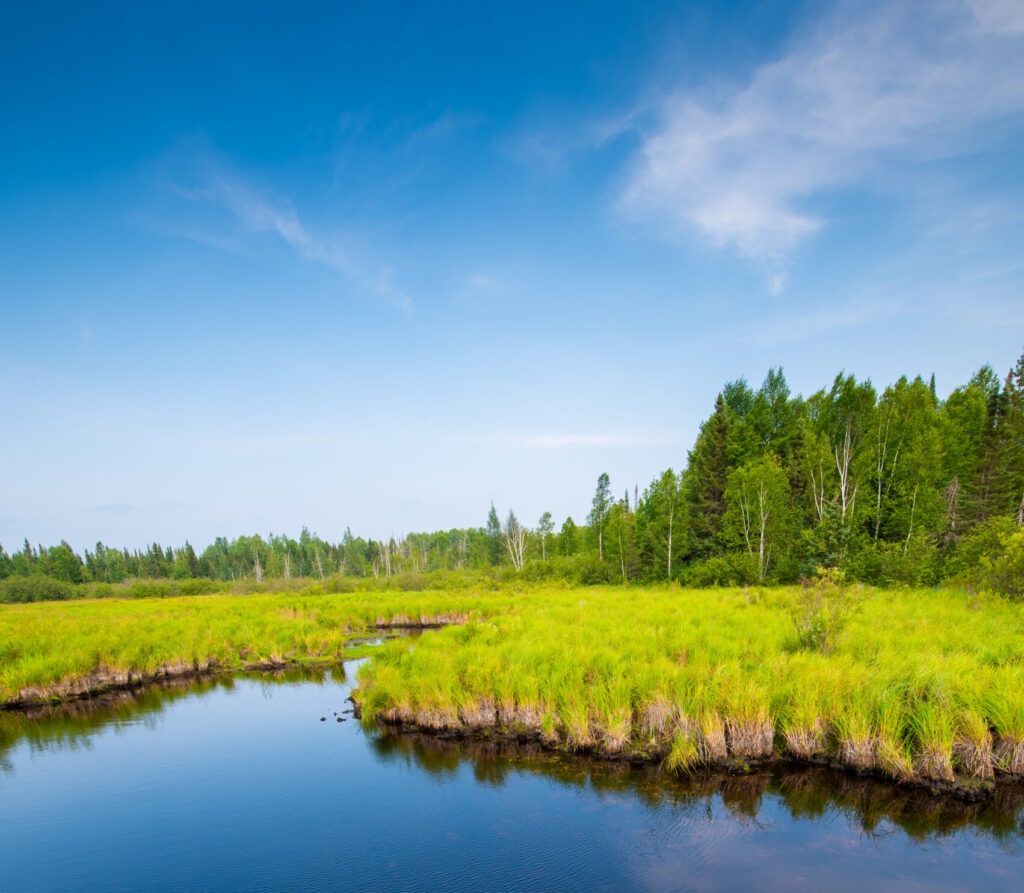 State budget omits stewardship funds, includes $1 million for timber industry groups