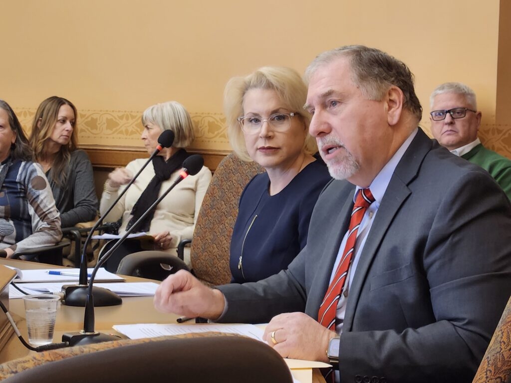 Election observer rule gets a polarized reception at Assembly hearing