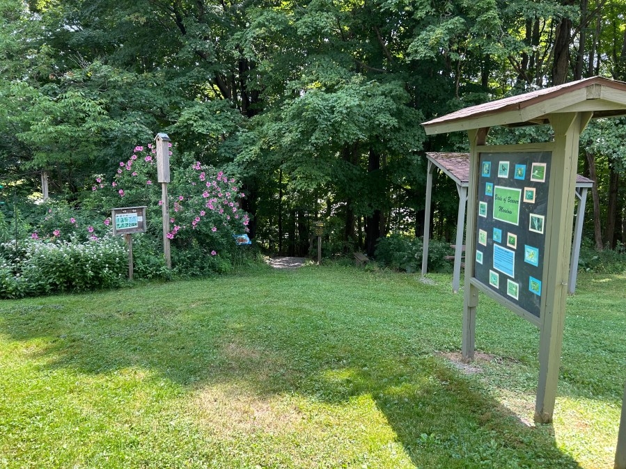 Along 4 The Hike: Beaver Meadow Nature Preserve