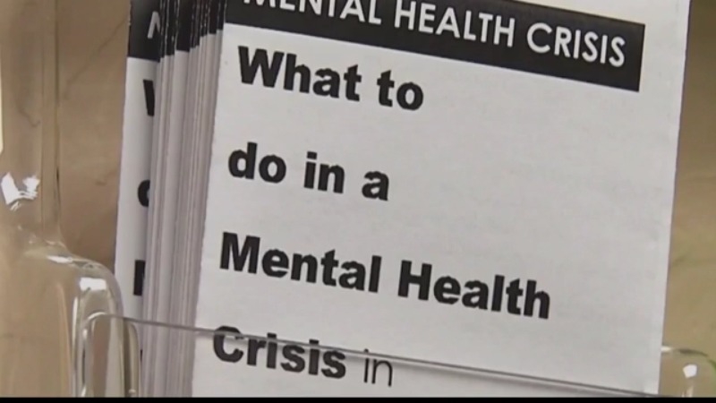 Tioga County announces new online mental health resource platform