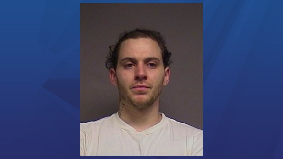 Endicott man pleads guilty to weapon charge