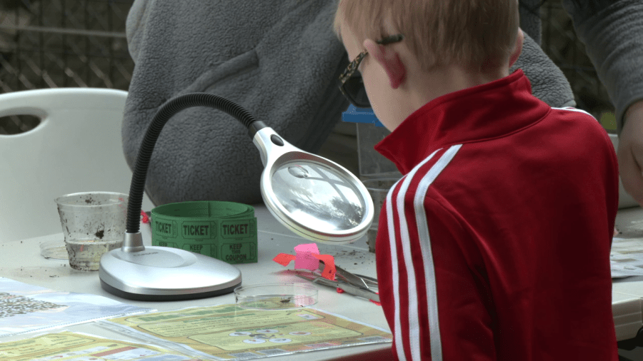 BU students host wildlife scavenger hunt at Ross Park Zoo