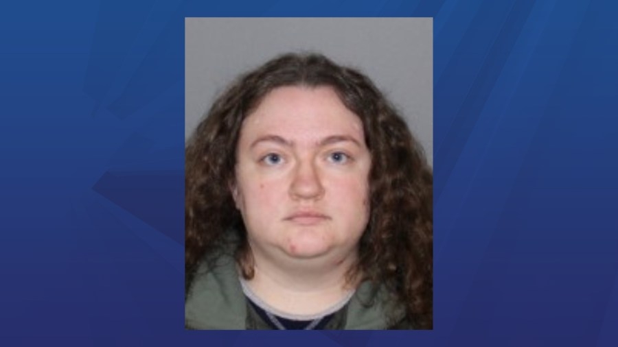 Otego woman arrested on child porn charges