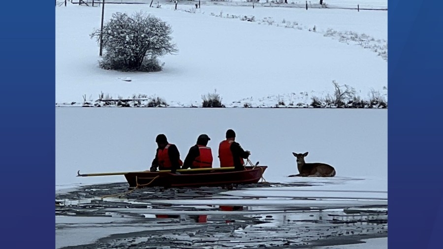 Person falls through ice trying to rescue deer in Delaware County