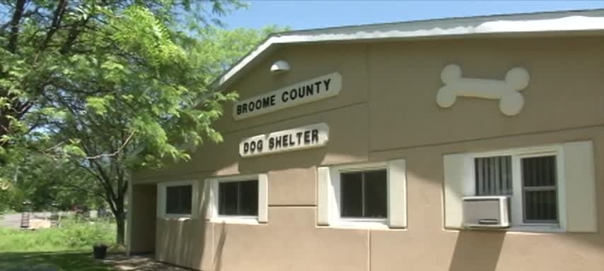 National adoption event underway at Broome County Dog Shelter