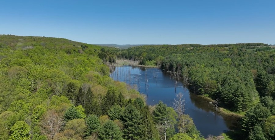 Southern Tier Land Conservancy acquires 117 acres of land in the Town of Lisle