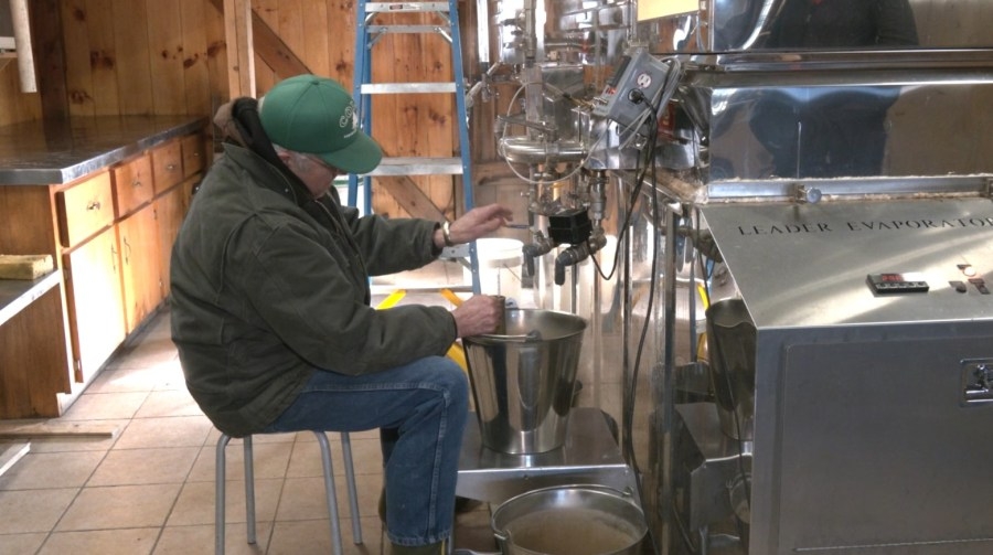Food and Farm Showcase: Coles Maple Syrup