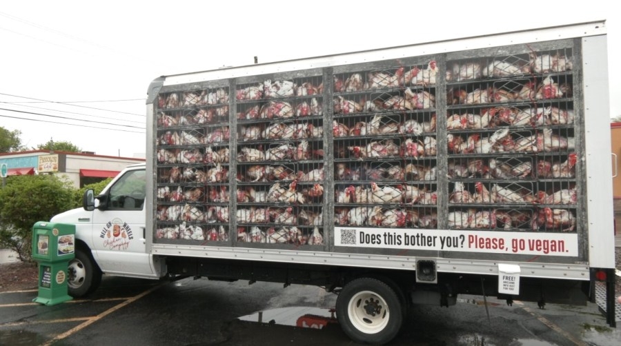 Bird cries heard throughout Binghamton as PETA sheds a light on animal cruelty