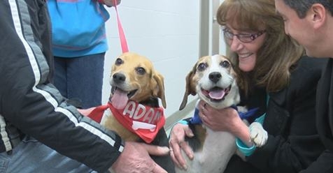 Long-Stay Pet Program helps pets find forever home