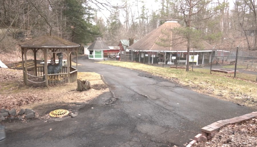 Business of the Week: Ross Park Zoo