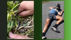 Nocatee father speaks out after son injured by tire spikes