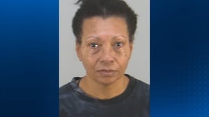 Report: Woman drowns dog inside Orlando airport bathroom to avoid missing flight