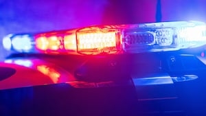 Palm Coast bicyclist in critical condition after she was hit by 94-year-old driver