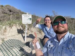 Georgia's first sea turtle nest of the season laid on Jekyll island