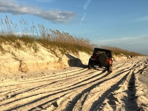 Group threatens lawsuit to end driving on American Beach over sea turtle and beachgoer safety