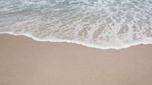 Over 1,000 pounds of trash removed from St. Johns County beaches during New Year's cleanup