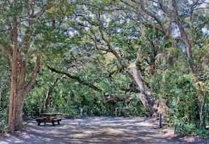 State Park Preservation Act signed into law by Florida Gov. Ron DeSantis