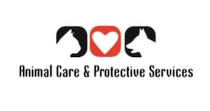 Jacksonville's ACPS launches ‘Kitty Hall', a purrfect opportunity to foster kittens