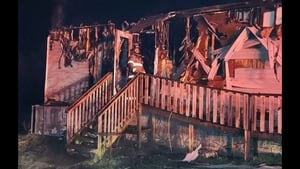 Fosters needed after St. Augustine-based animal rescue building burns down, animals killed