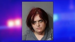 Woman arrested after high-speed chase on I-95