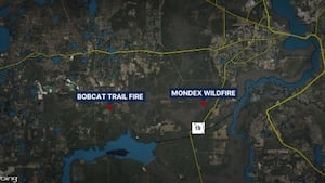 Forest fires affecting visibility on roads near Ocala National Forest, FHP says