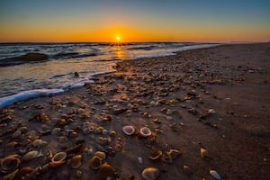 Florida House passes ‘State Park Preservation Act' after public outcry against development plan