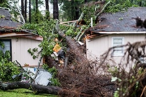 Hurricane Preparedness Week: JEA shares how to maintain trees before a storm