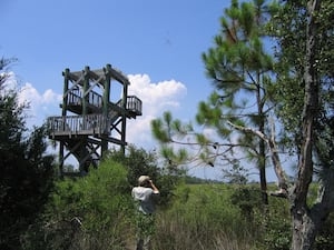 St. Johns residents score victory by defeating Guana land swap, but say fight isn't over
