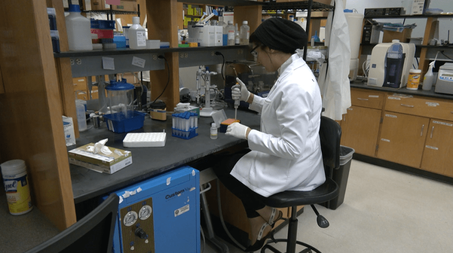 $2.8M grant awarded for study on gum disease and Alzheimer's link