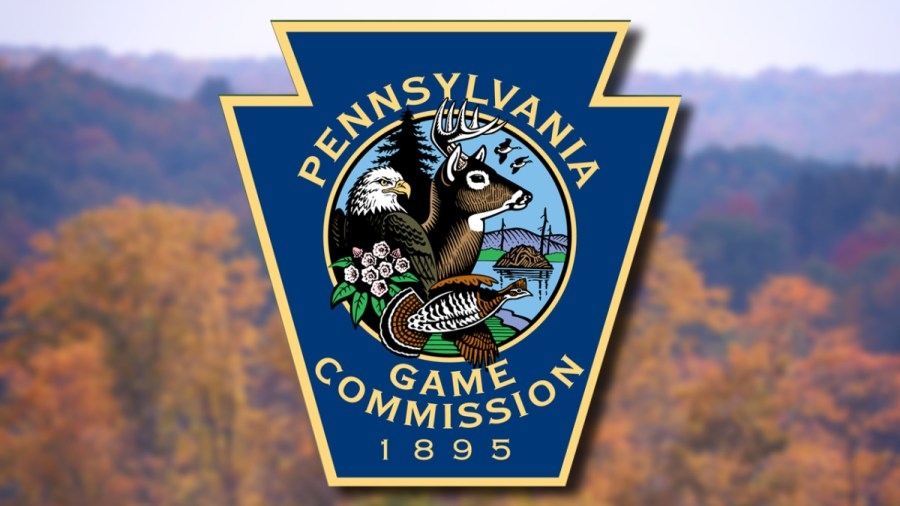 Pennsylvania Game Commission gives updates on local bird flu detection