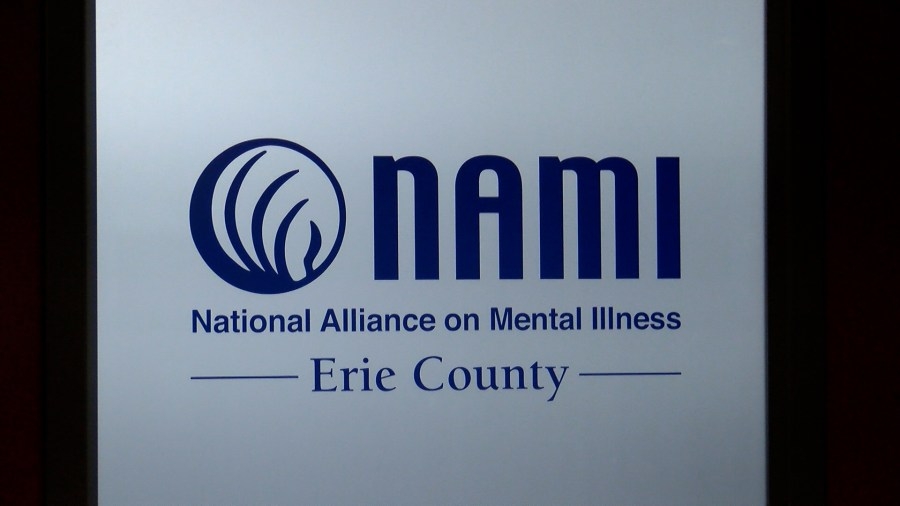 NAMI to host movie night at UPMC Park this Friday