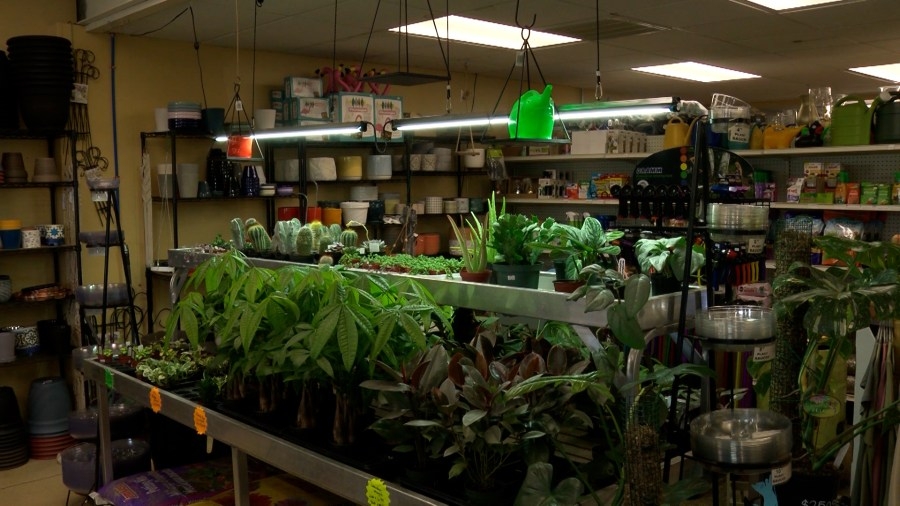 Local shops see influx in customers as gardeners prepare for spring planting