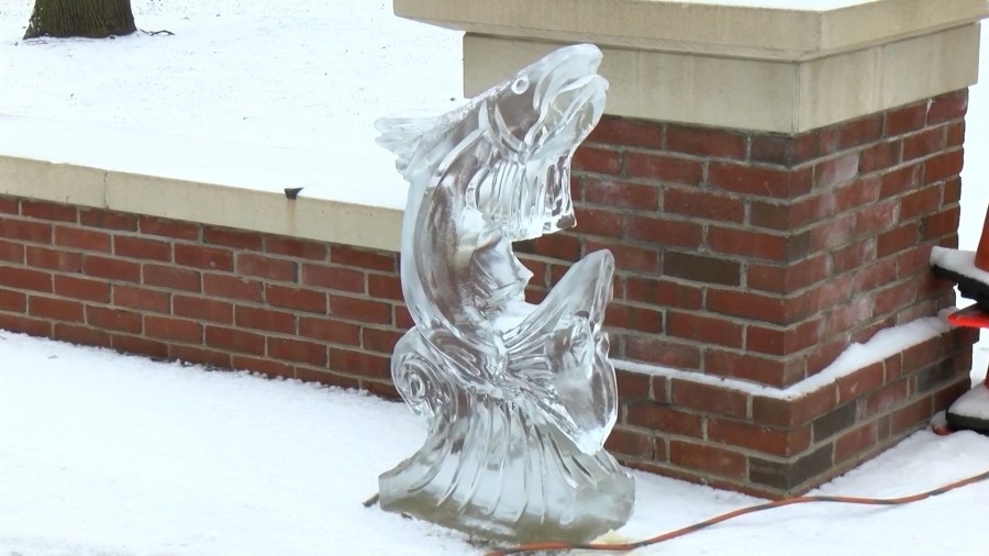 ‘Chill out' at EDP's Winter Carnival this weekend