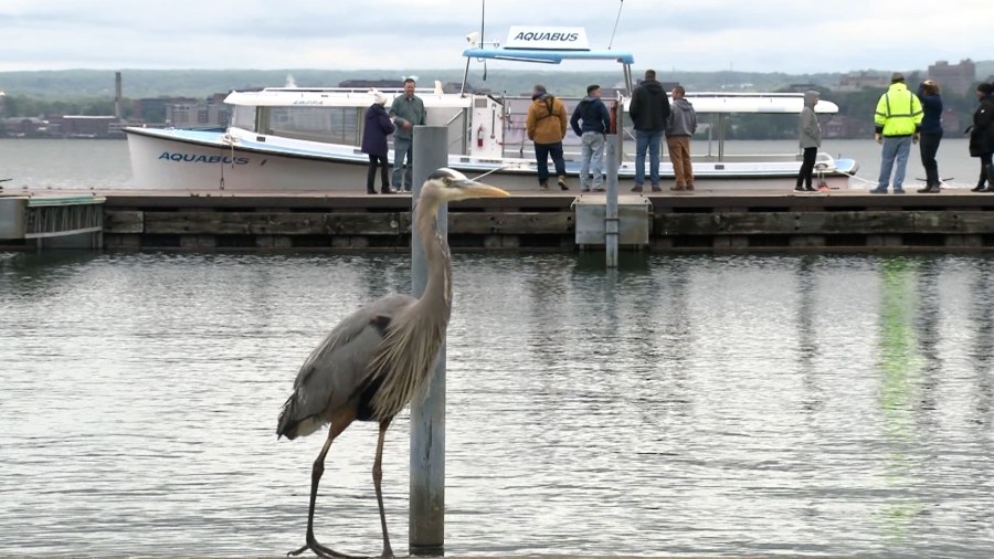 Erie water taxis make first voyage after five-year hiatus