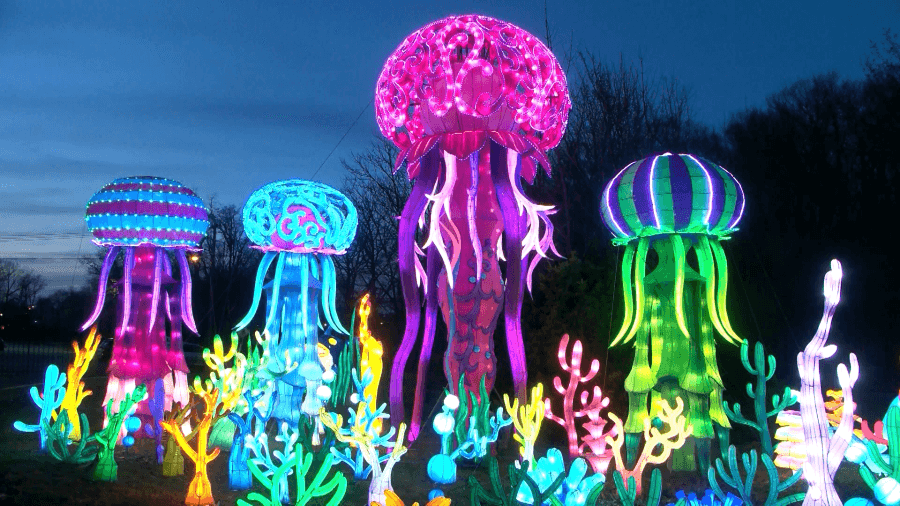 Two weeks left to ‘Glow Wild' at Erie Zoo centennial celebration