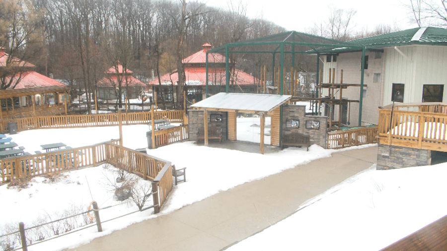 Erie Zoo ready to open their gates for 100th year
