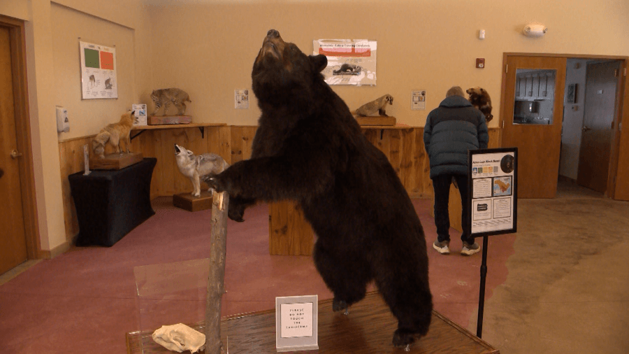 Asbury Woods releasing new exhibit on PA native species