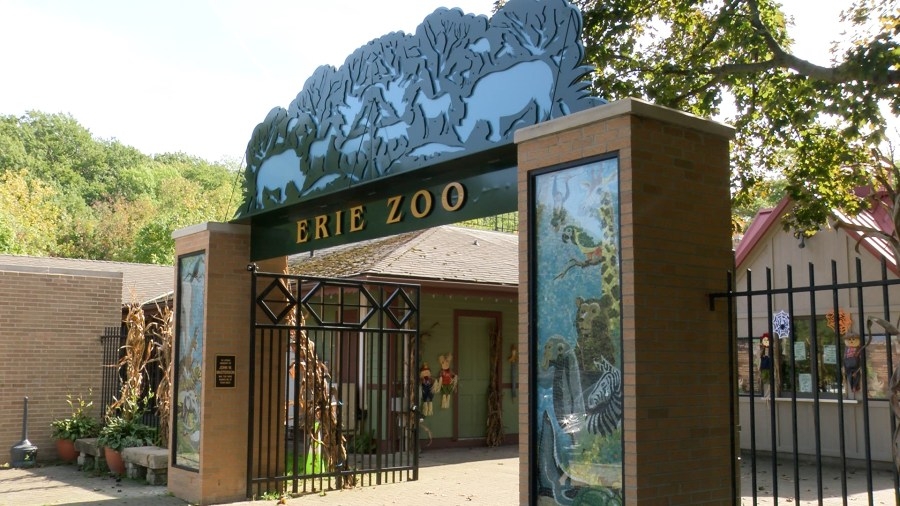 Tickets now available Erie Zoo's centennial Mane Event