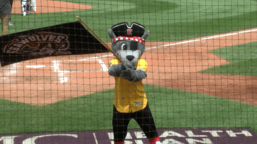 Erie SeaWolves staff excited for rebranding courtesy of Last Week Tonight