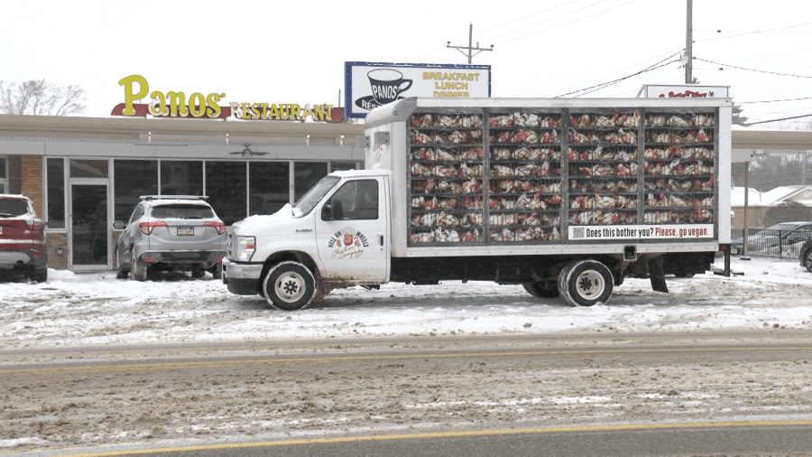 Following PETA protest, Panos' Restaurant and customers spread generosity