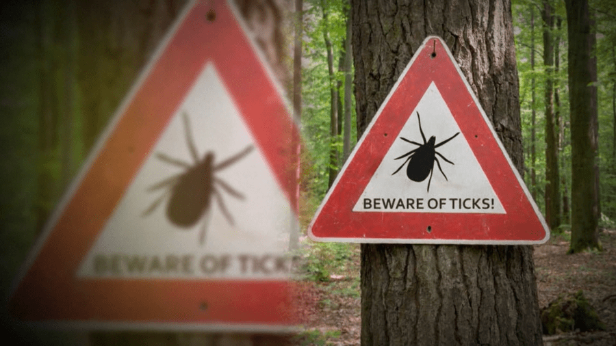 Health officials warning of Lyme Disease ahead of warm weather