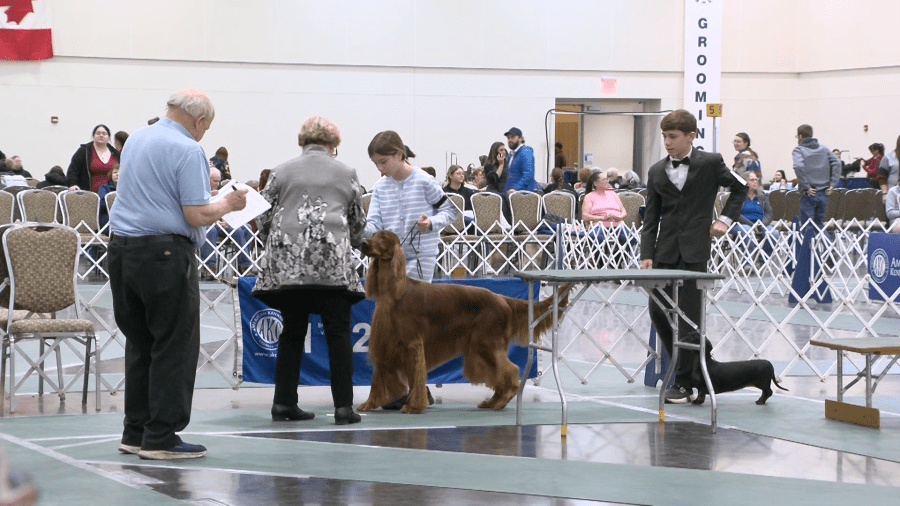 Erie Kennel Club Dog Show comes to a close on Erie's bayfront