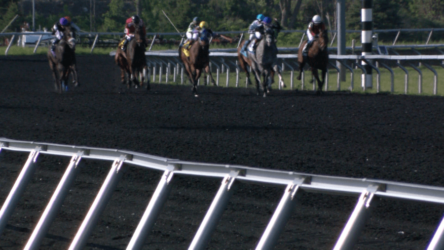 Horse races return to Presque Isle Downs for summer 2025