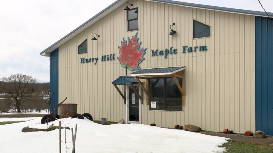 Maple syrup season finally arrives in Erie
